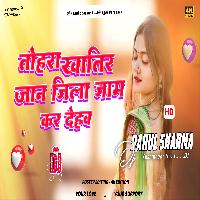 Tohre Khatir jaan jila jaam kar deham Dj Remix Song Bigha ke bigha tahra name kar dehab Dj Rahul Kushinagar